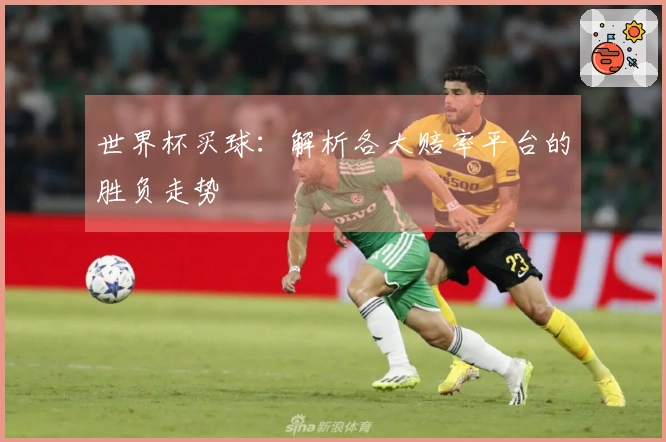 世界杯买球：解析各大赔率平台的胜负走势