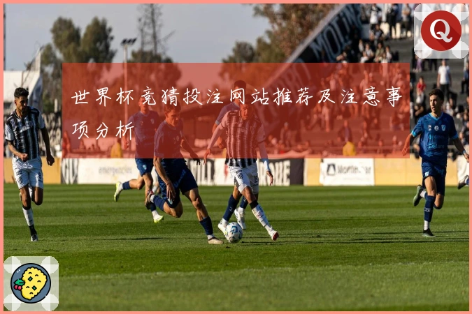 世界杯竞猜投注网站推荐及注意事项分析