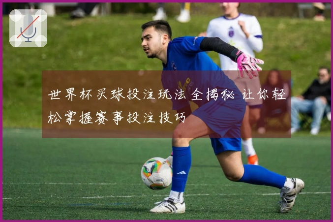 世界杯买球投注玩法全揭秘 让你轻松掌握赛事投注技巧