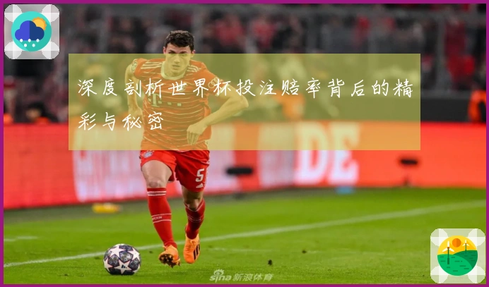深度剖析世界杯投注赔率背后的精彩与秘密