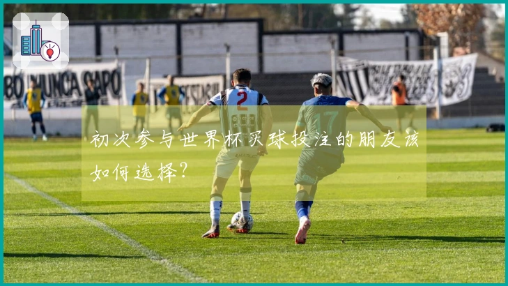 初次参与世界杯买球投注的朋友该如何选择？