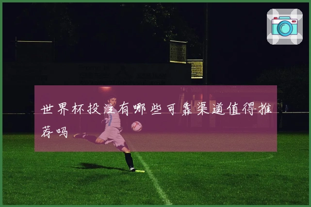 世界杯投注有哪些可靠渠道值得推荐吗