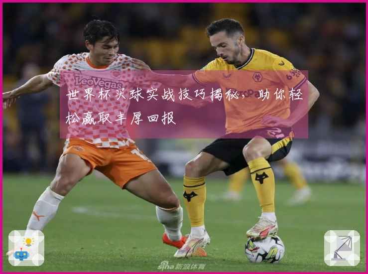 世界杯买球实战技巧揭秘，助你轻松赢取丰厚回报